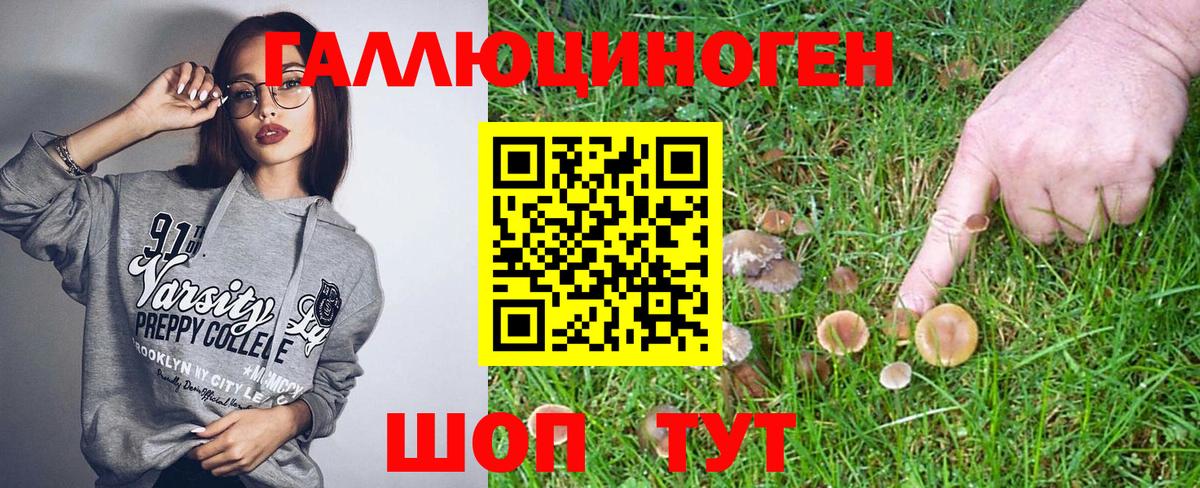 Псилоцибиновые грибы мухоморы Кировск